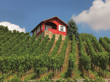 Weinprobe Weinprobe