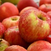 Cider -Apfelperlwein