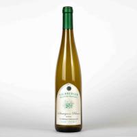 Sauvignon Blanc 2023 - trocken