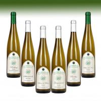  - Weißweinpaket Wein & Sekt Pakete